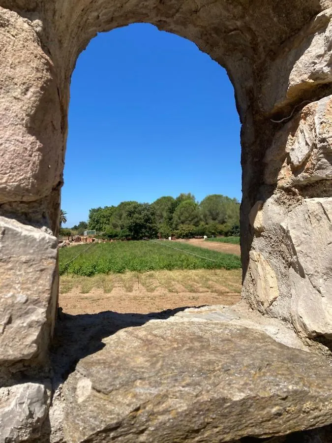 Ferienhaus Gite Encore Un Soir Hyères Frankreich